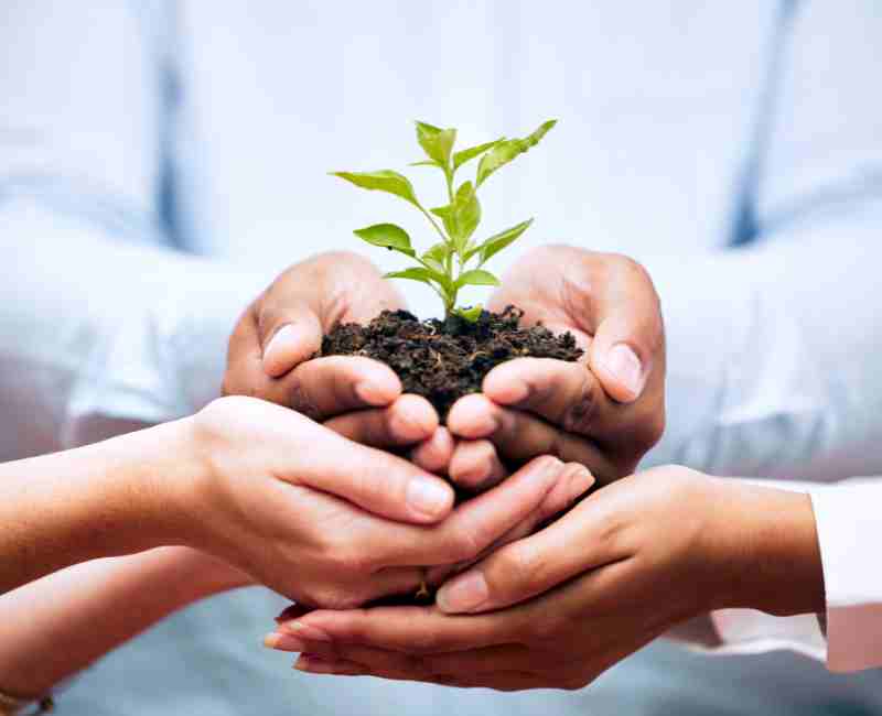 Sustainable Practices in Tech Companies